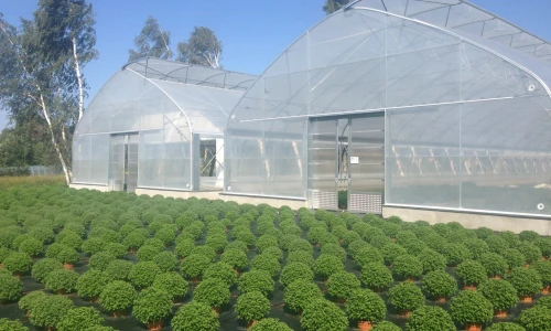 Tunel foliowy AGRO-SUR – inwestycja, która się opłaca!